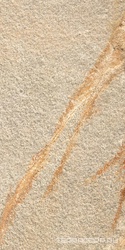 Barge Beige |20.3x40.6