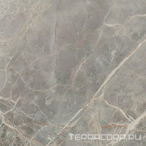 Керамогранит Florim Etoile de Rex Etoile Gris Matte 60x60 Серый 