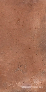 Керамогранит Dado Ceramica Tavellone Vecchia Firenze OUT 15,3x31 Коричневый 