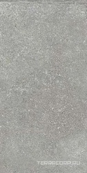 Прожетто серый темный полированныйXX|30х60