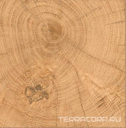 Tronco nat Rett XX 20x20