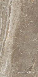Kashmir Taupe Leviglass XX 30x60