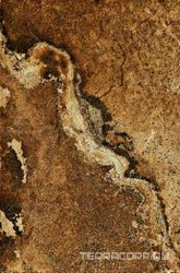 Kalahari 46MC XX|40x60