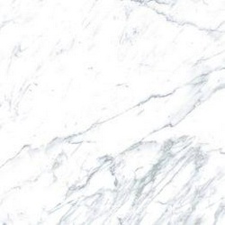 Arabescato 6060 XX |60x60