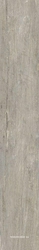 Amarcord Wood Piombo XX |15x100