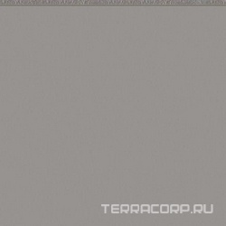 Flexi 1 Grey Mat (п.п.) ZZ |30x30
