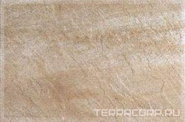 Ain Jet Cuero XX |33.3x50