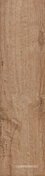 Branch Maple Nat XX |15.70x59.20