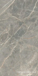 Керамогранит Florim Etoile de Rex Etoile Gris Glossy 60x120 Серый 