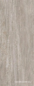 Керамогранит Kerama Marazzi Акация  серый светлый ZZ20.1x50.2 Серый 