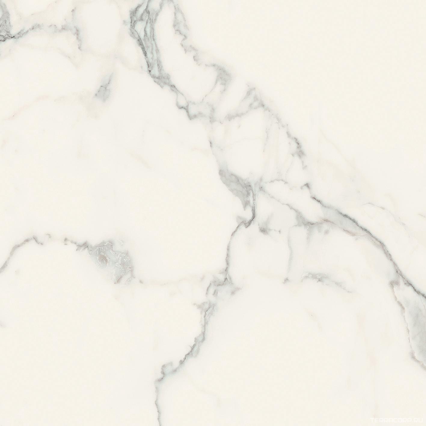 Керамогранит Florim Magnum I Classici di Rex Statuario Glossy 80x80 Серый, фото 7