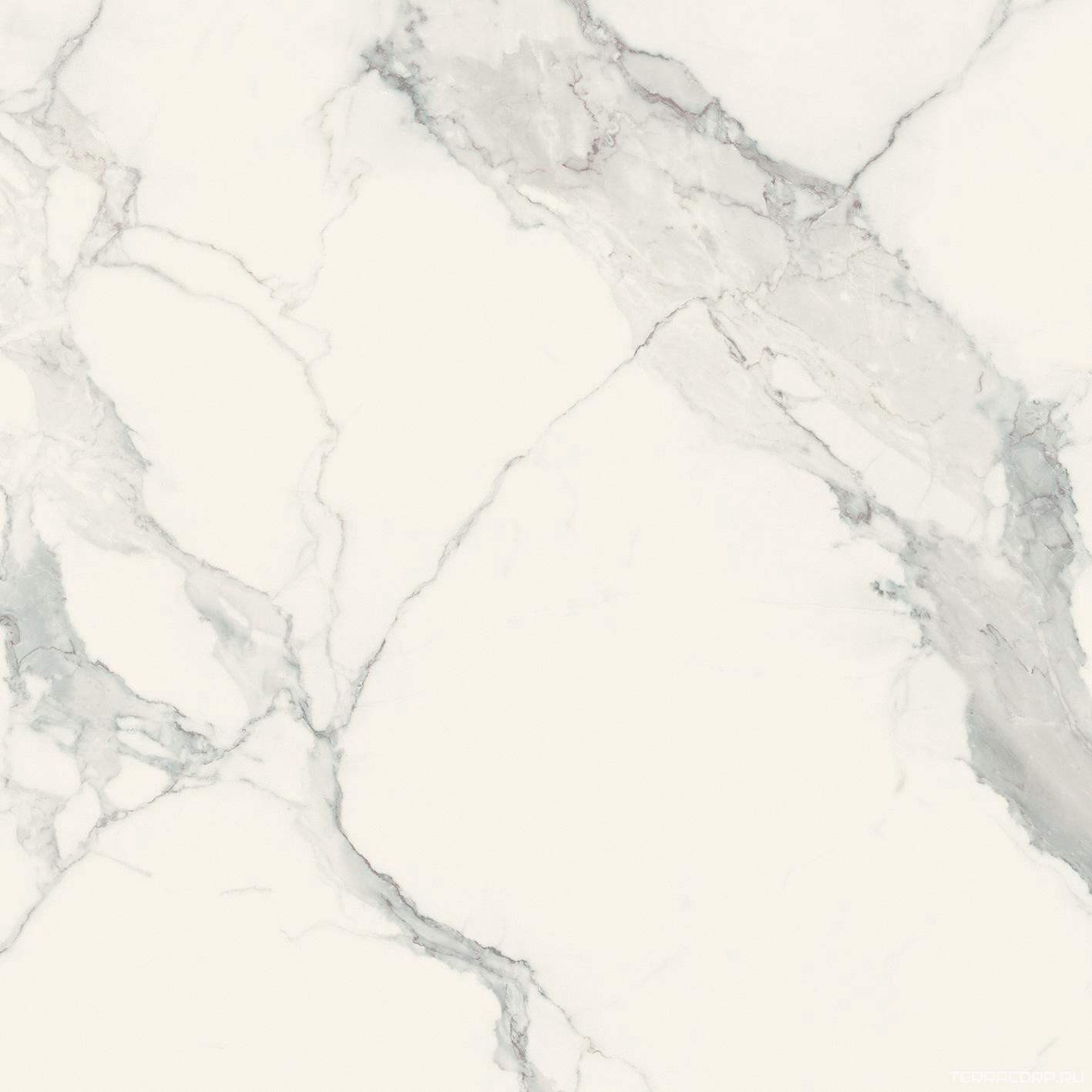 Керамогранит Florim Magnum I Classici di Rex Statuario Glossy 80x80 Серый, фото 4