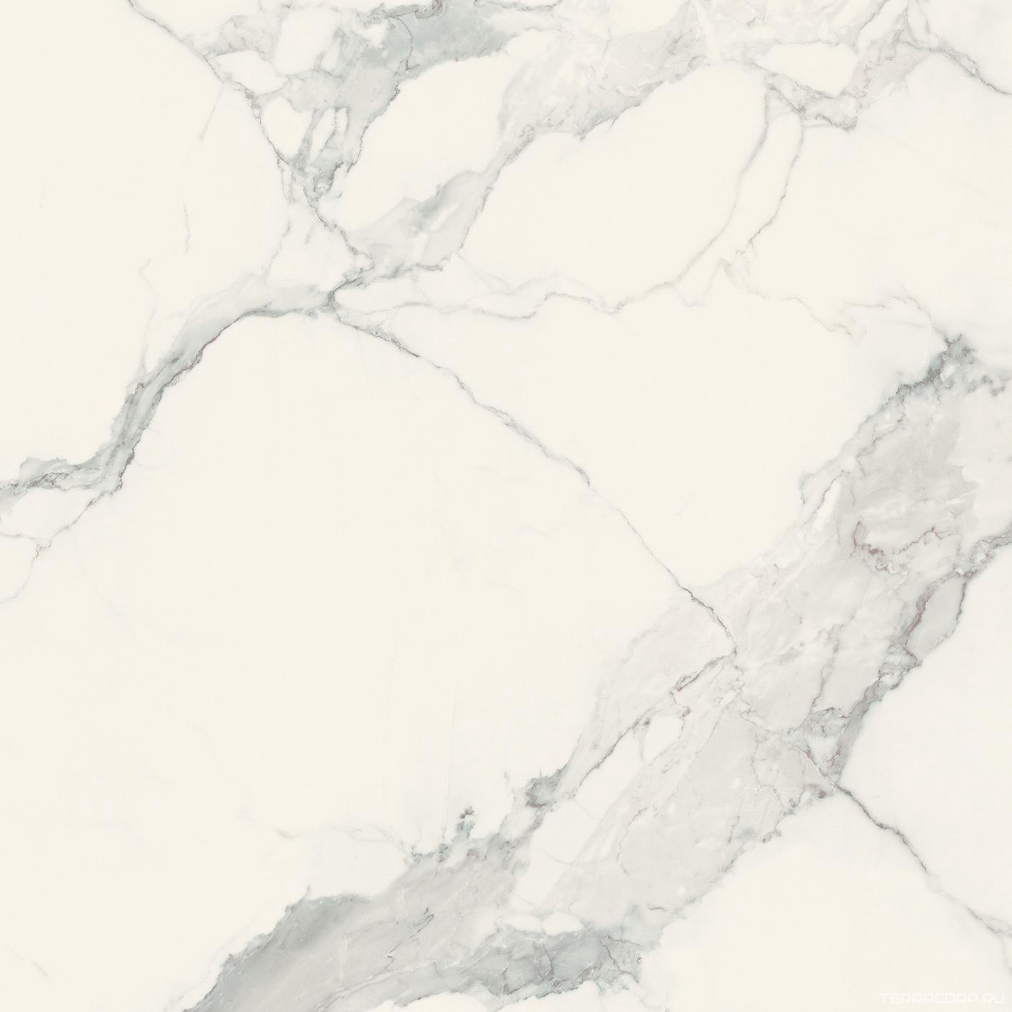 Керамогранит Florim Magnum I Classici di Rex Statuario Glossy 80x80 Серый, фото 5