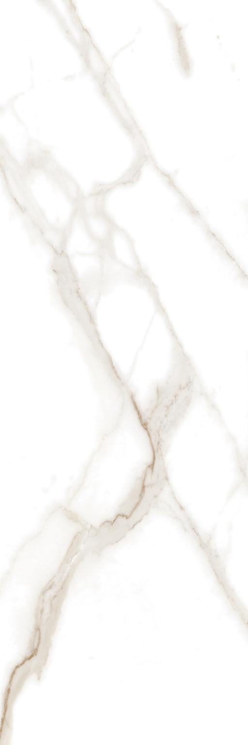 Керамическая плитка FAP Ceramiche Roma Calacatta I25x75 Белый, фото 5