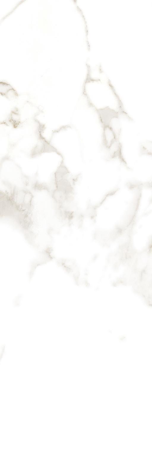 Керамическая плитка FAP Ceramiche Roma Calacatta I25x75 Белый, фото 4
