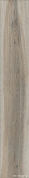 Barkwood Ash 20120 |20x120 KL