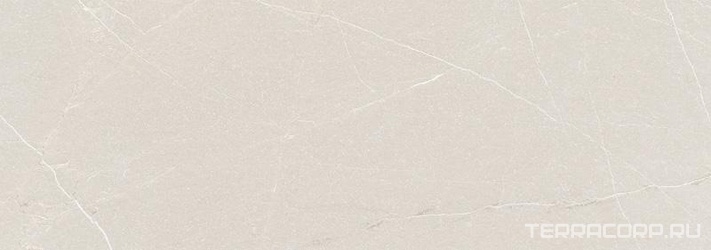 Baltimore Bone rect. XX|31.6x90