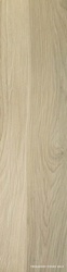 Acanto Miele ZZ |30х120