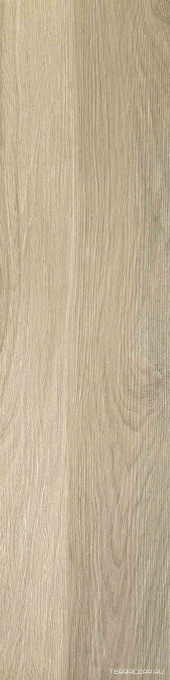 Acanto Miele ZZ |30х120