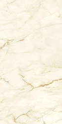 Calacatta Macchia Vecchia Lev Silk |60x120