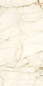 Керамогранит Ariostea Marmi Classici Calacatta Macchia Vecchia Lev Silk 60x120 Белый 