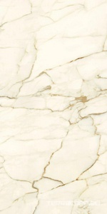 Керамогранит Ariostea Marmi Classici Calacatta Macchia Vecchia Lev Silk 60x120 Белый 