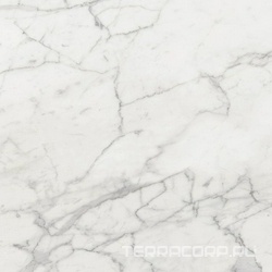 Nuance Calacatta Lap Rett ZZ 59x59