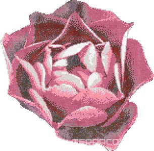 Мозаика Bisazza Бассейны Rosa Rosa 343x337 Комбинированный 