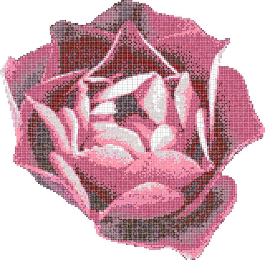 Rosa Rosa ZZ |343x337