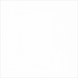 Калейдоскоп белый |20x20