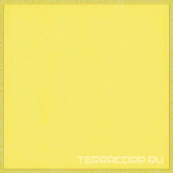 Flexi 4 Yellow Bri ZZ |30x30