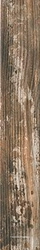 Sassafras  XX|6.5x40