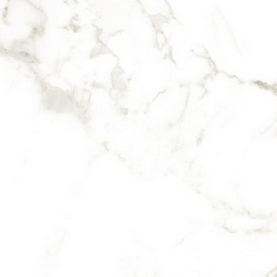 Roma Calacatta Matt RT XX |75x75