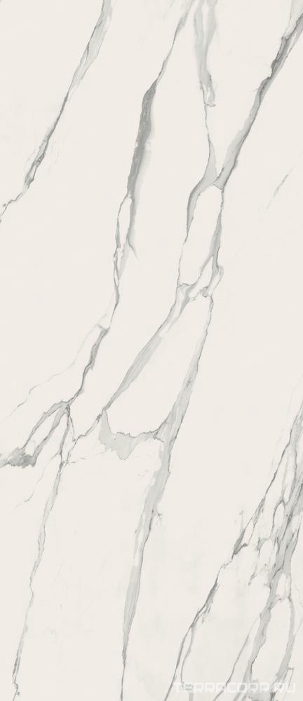Керамогранит FAP Ceramiche Fap Maxxi Roma Diamond Statuario RT 120x278 Белый, фото 5
