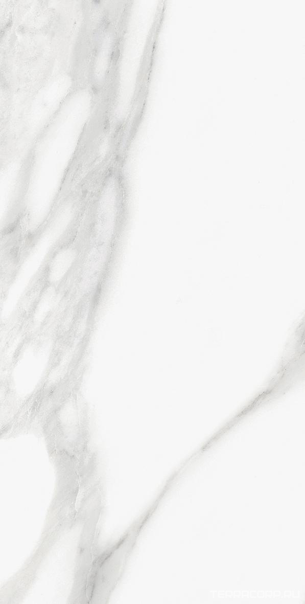 Керамогранит Emil Ceramica Tele di Marmo Statuario Michelangelo Nat.Ret 30x60 Белый, фото 5