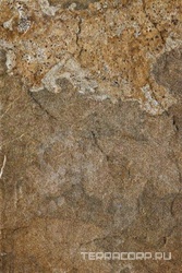 Kalahari 46T ХХ |40x60