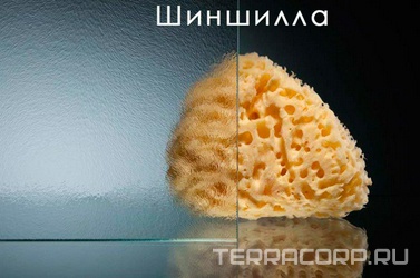 Закаленное стекло 6 мм 450*1894 шиншилла 6отв. ZZ