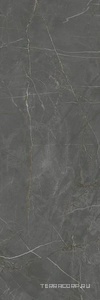 Керамическая плитка Kerama Marazzi Буонарроти  серый темный обрезной 30x89,5 Серый 