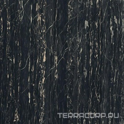 Portoro Glossy  XX 80x80