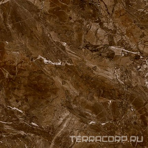 Керамогранит Гранитея Синара Sinara Bronze G317/ бронзовый полированный 60x60 Бронзовый 