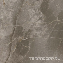 Керамогранит AtlasConcorde Россия Allure  Grey Beauty Lap 59x59/Аллюр Грей Бьюти Шлиф 59x59 XX Серый 