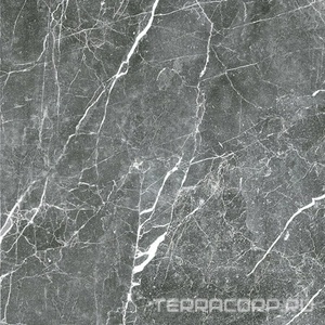 Керамогранит Гранитея Пайер Payer Black G285/ черный полированный 60x60 Черный 