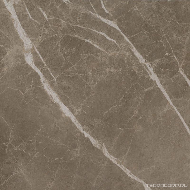 Керамогранит AtlasConcorde Россия Supernova Stone S.S. Grey Wax 60x60 / С.С. Грей 60 Вакс Рет. Серый, фото 3