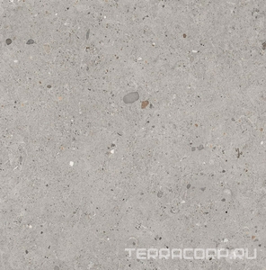 Керамогранит Provenza Ego  Grigio Naturale ZZ60x60 Серый 