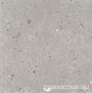 Керамогранит Provenza Ego  Grigio Naturale ZZ60x60 Серый 