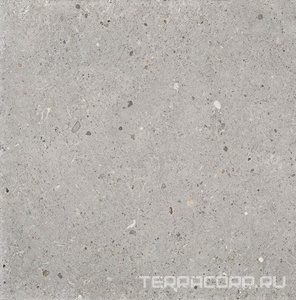 Керамогранит Provenza Ego  Grigio Naturale ZZ60x60 Серый 