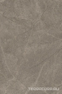 Керамогранит Imola Blue Savoy BLSV 46G RM 40x60 Серый 