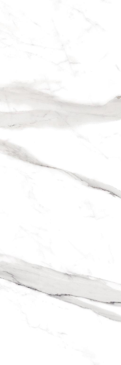 Керамическая плитка FAP Ceramiche Roma Statuario I25x75 Белый, фото 7