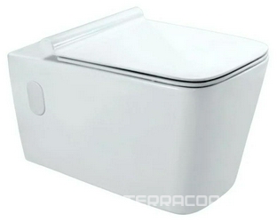 Унитаз подвесной Jaquar Aria ARS-WHT-39951| 57x36x36