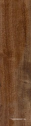 Tabula Cappuccino XX |15x61
